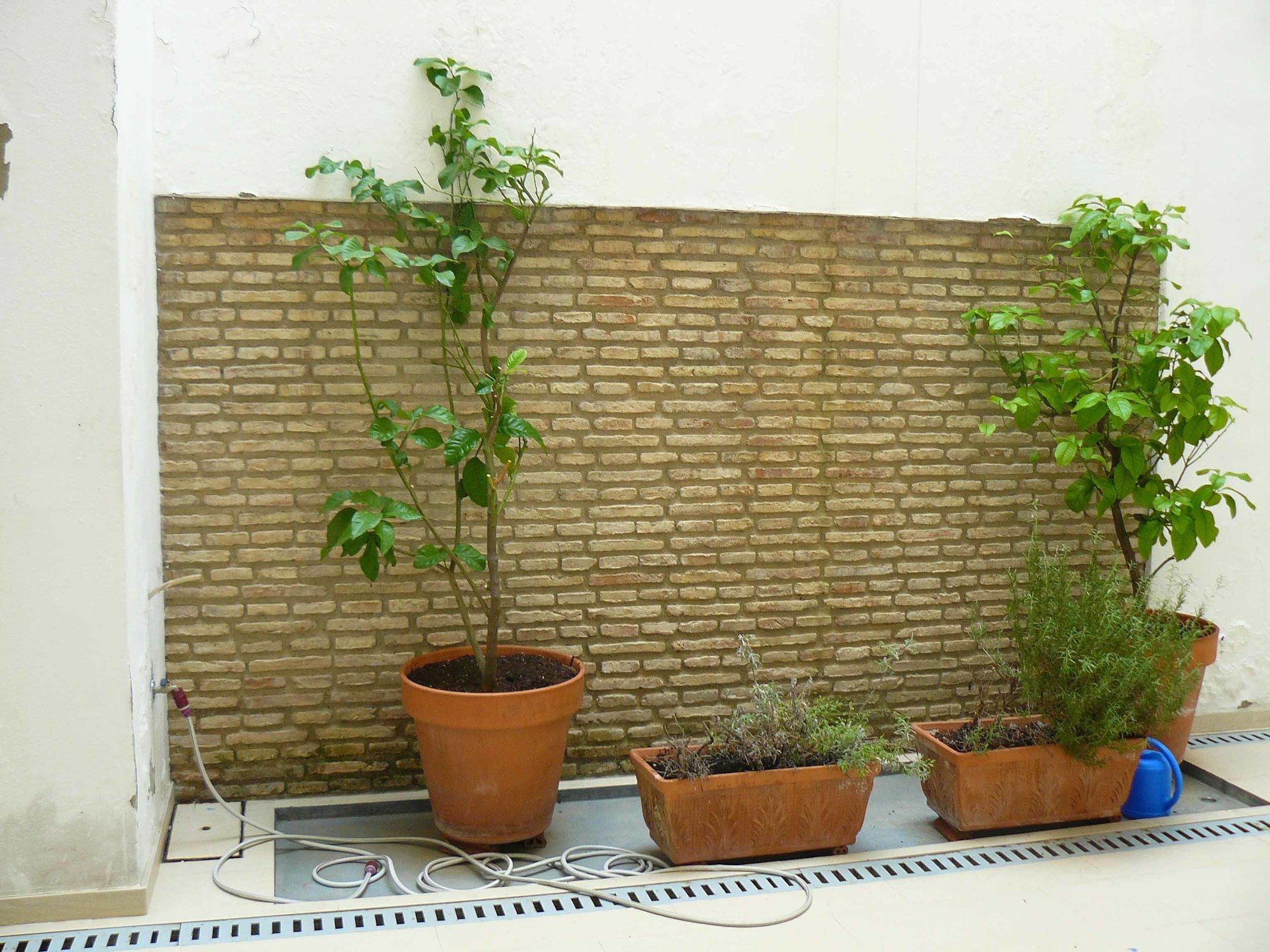 Alfaqueque Apartment Seville Ngoại thất bức ảnh
